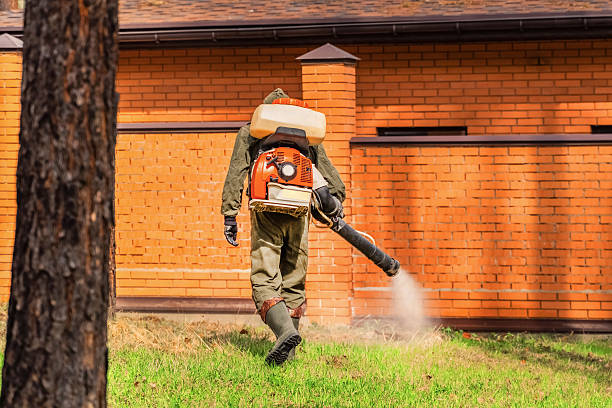 Bed Bug Clearance Verification and Documentation in Spurgeon